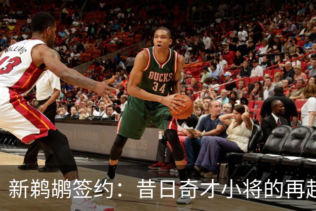 新鹈鹕签约：昔日奇才小将的再起航