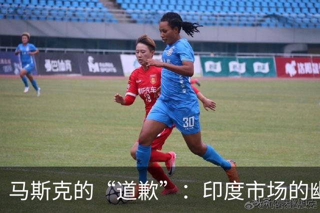 马斯克的“道歉”：印度市场的幽默战争